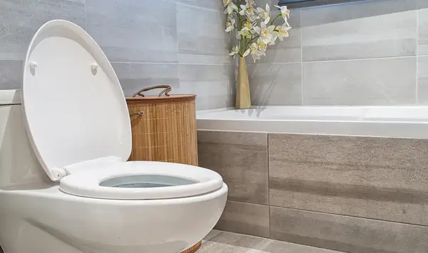 Read more about the article We Make All Your Plumbing Troubles Disappear With Mate Finish